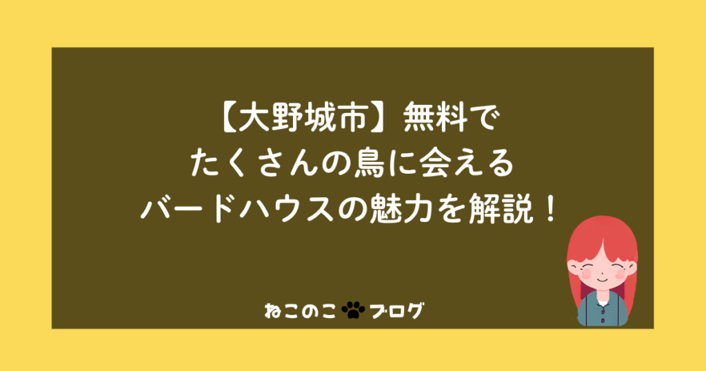 【大野城市】無料でたくさんの鳥に会えるバードハウスの魅力を解説！