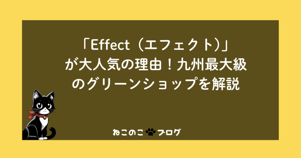 「Effect（エフェクト）」が大人気の理由！九州最大級のグリーンショップを解説