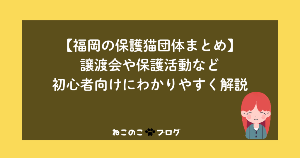 【福岡の保護猫団体まとめ】譲渡会や保護活動など初心者向けにわかりやすく解説