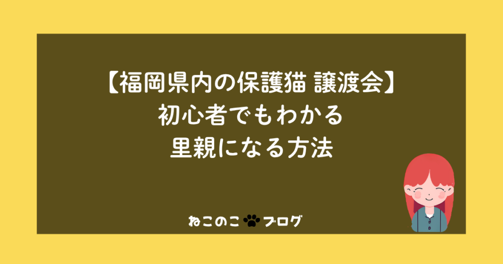【福岡県内の保護猫譲渡会】初心者でもわかる里親になる方法