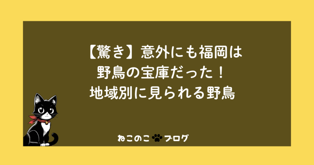 【驚き】意外にも福岡は野鳥の宝庫だった！地域別に見られる野鳥